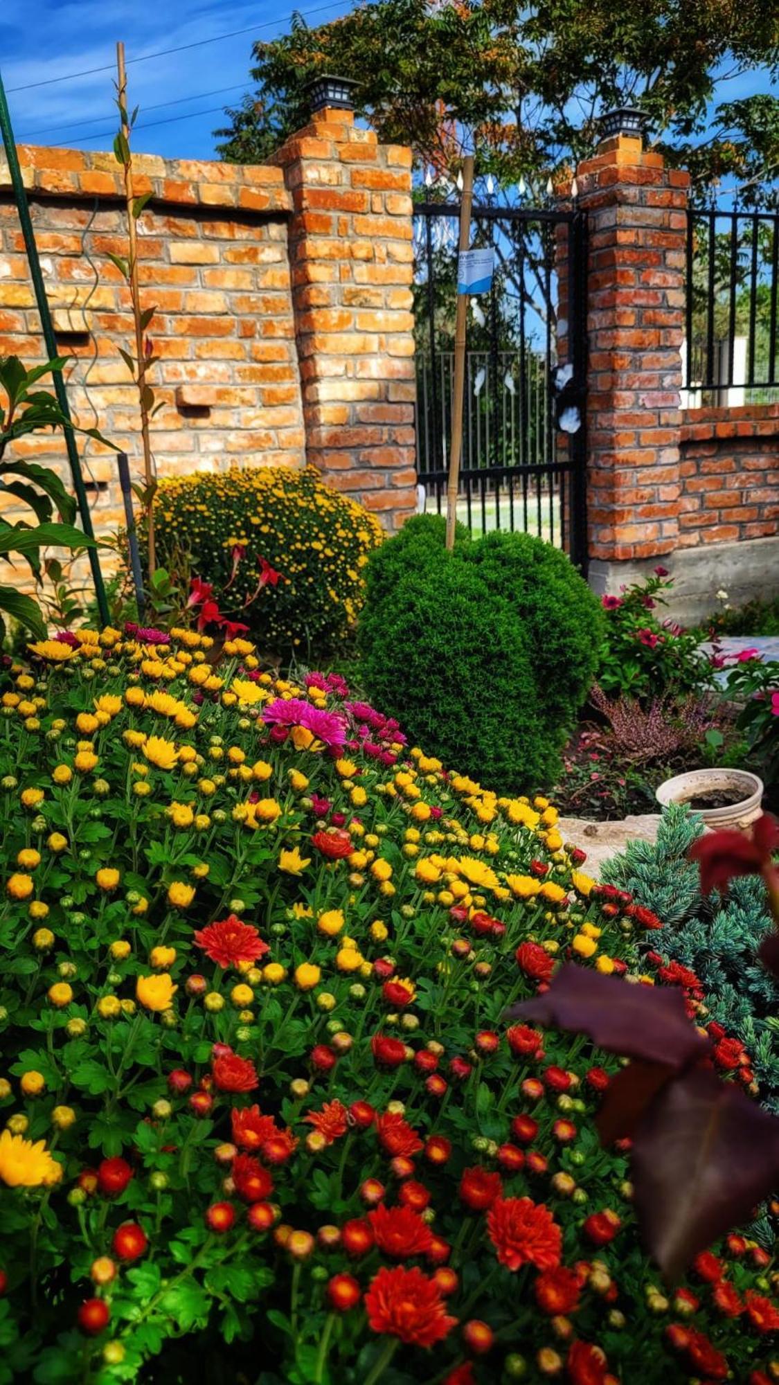 Casa Alba Hotel นาโวดาริ ภายนอก รูปภาพ